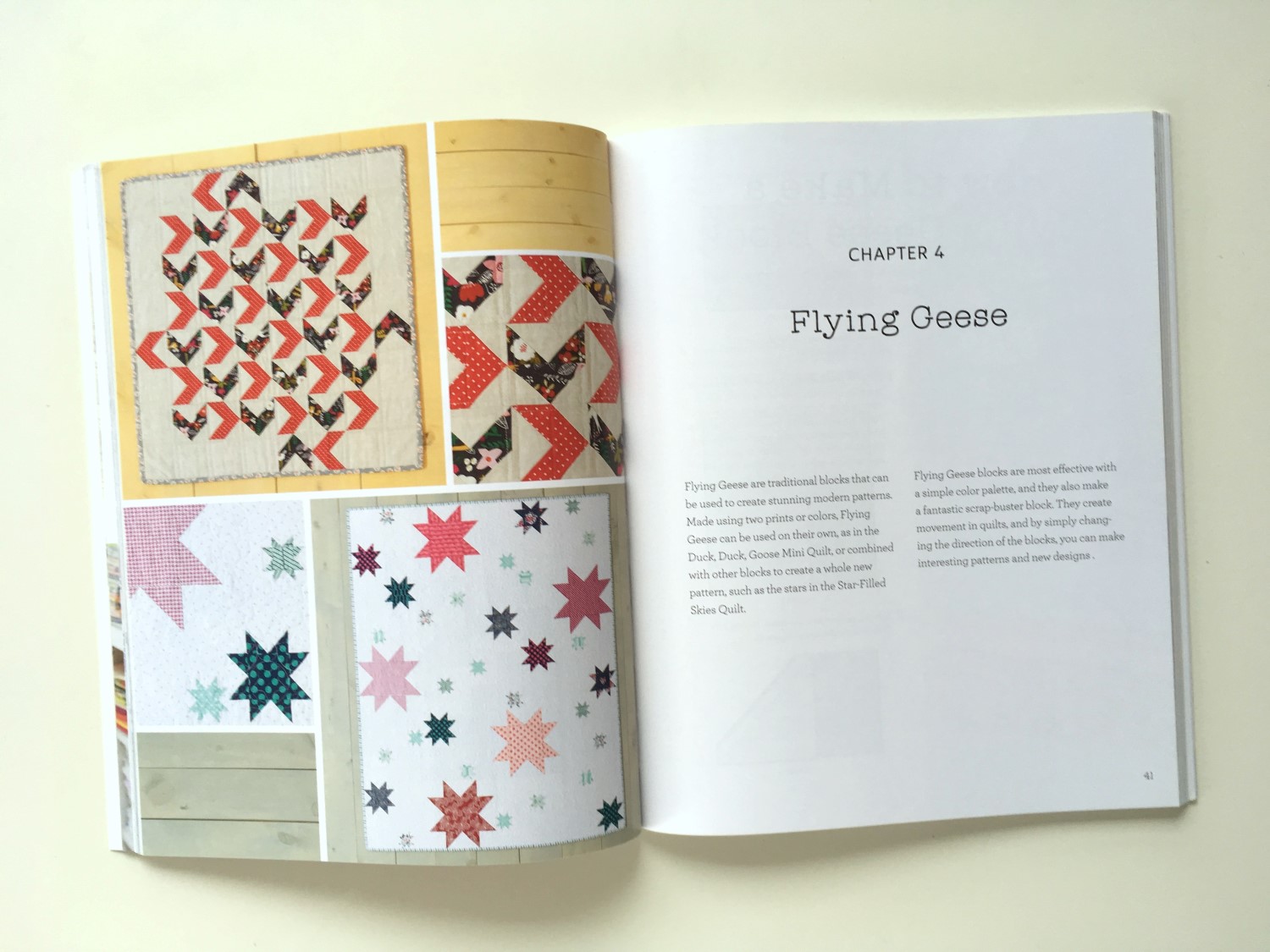 The Year Of Australian Quilt Book Authors - Blossom Heart Quilts