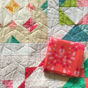 Year Of Finishing: Project 1 - The Bee Hive Quilts Sampler - Blossom ...